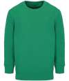 04239 Columbia kids SOL'S Kids Columbia Sweatshirt Kelly Green colour image